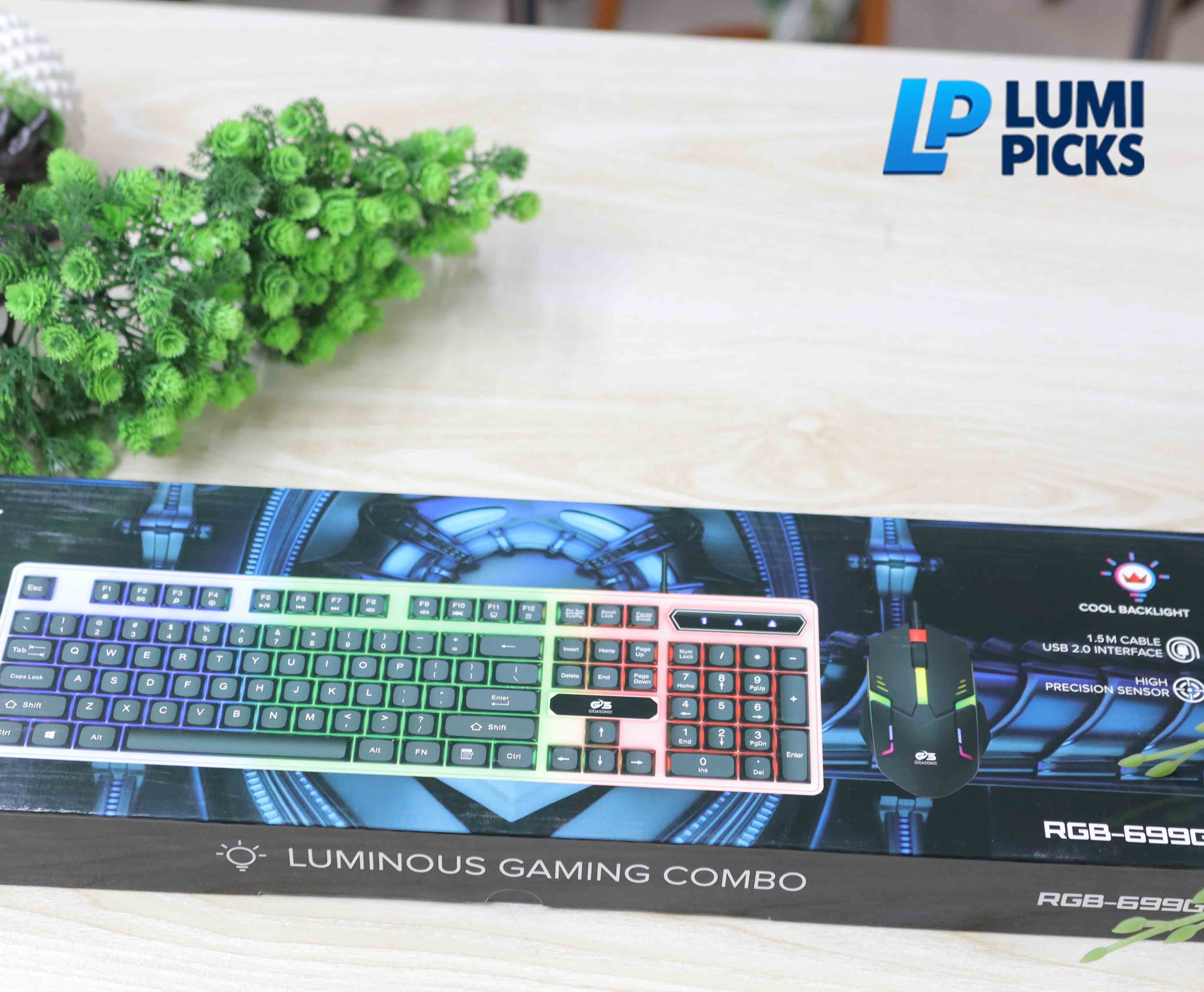Gigasonic Luminous G5 gaming keyboard & Mouse Combo